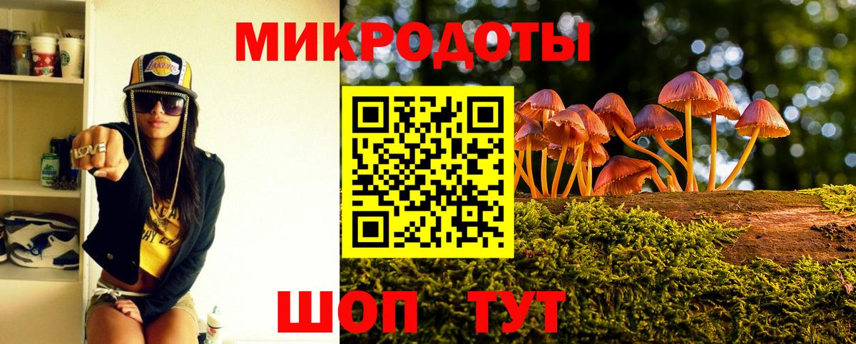Псилоцибиновые грибы мухоморы Вологда