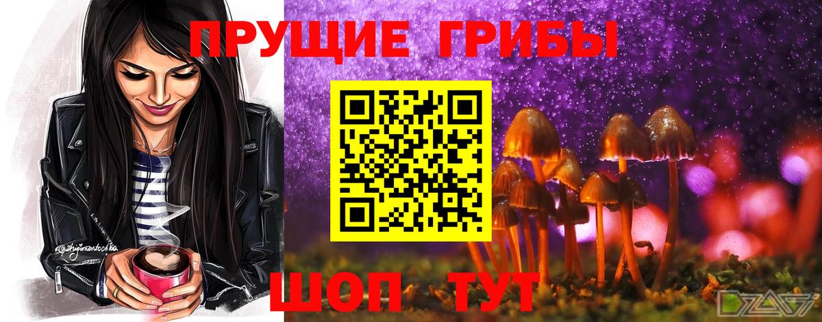 наркота  Вход с VPN  Вологда  Псилоцибиновые грибы GOLDEN TEACHER 