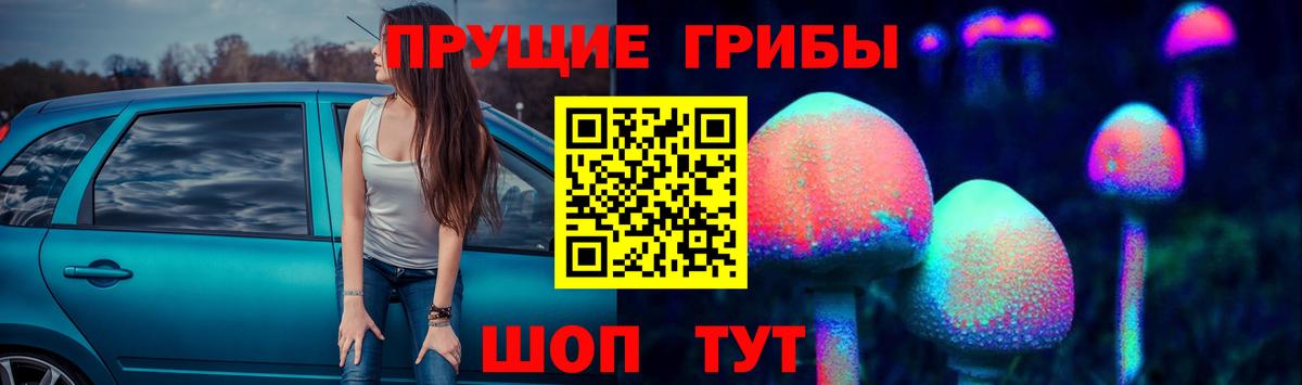 Псилоцибиновые грибы Cubensis Вологда