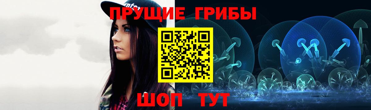 Псилоцибиновые грибы Psilocybine cubensis  Вологда 